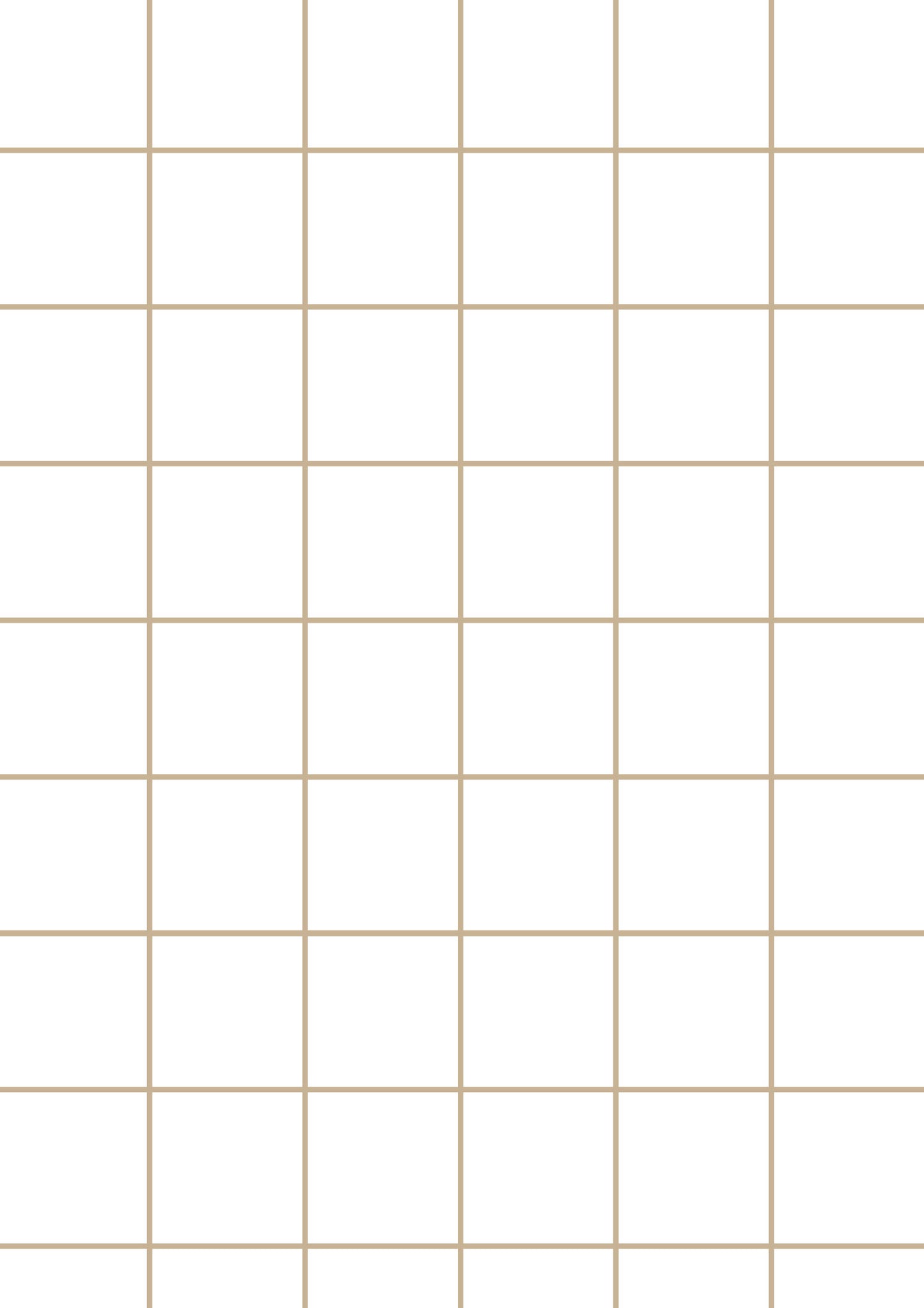 White A1 Photography Backdrop - Beige Grid