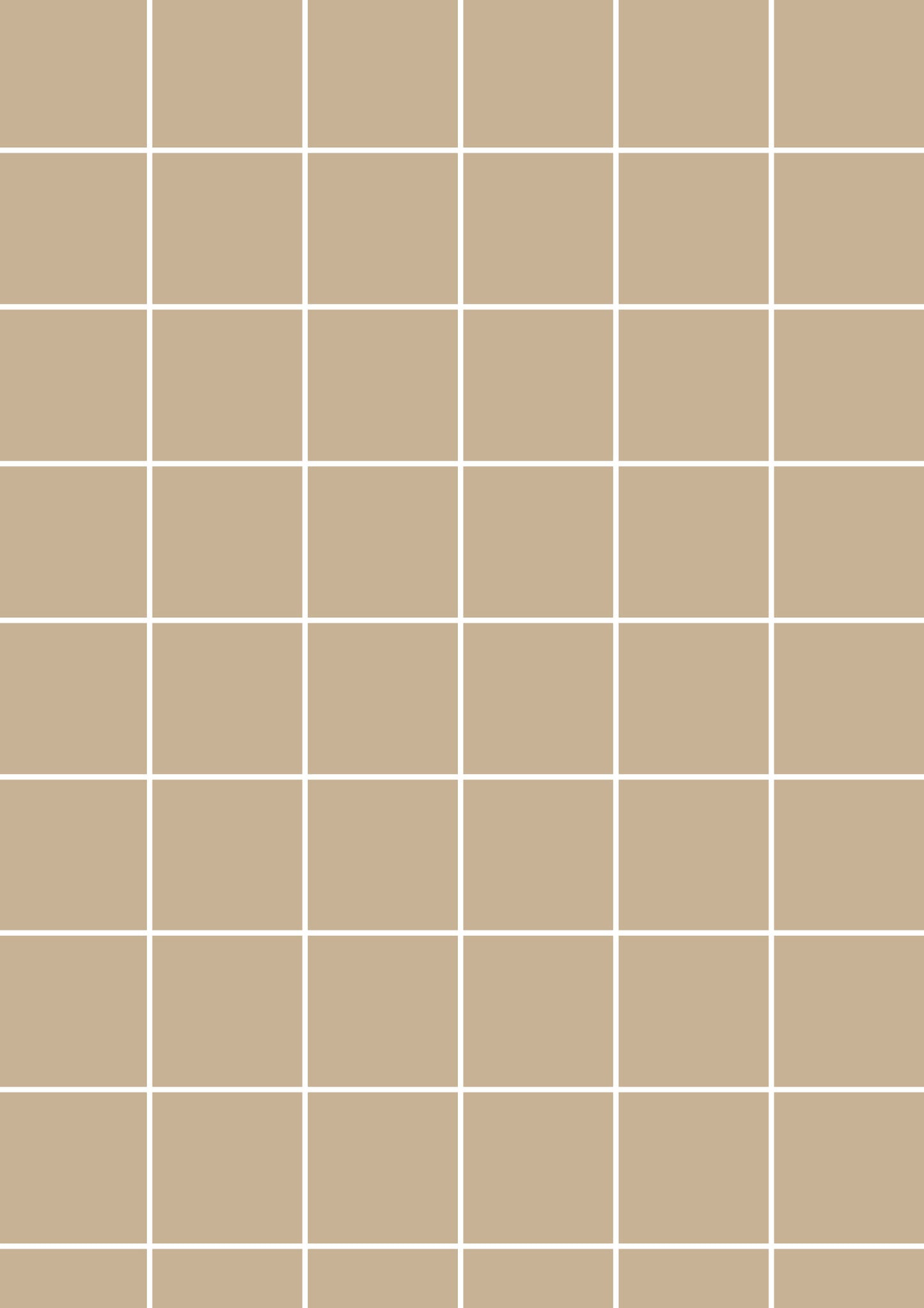 Beige A1 Photography Backdrop - White Grid