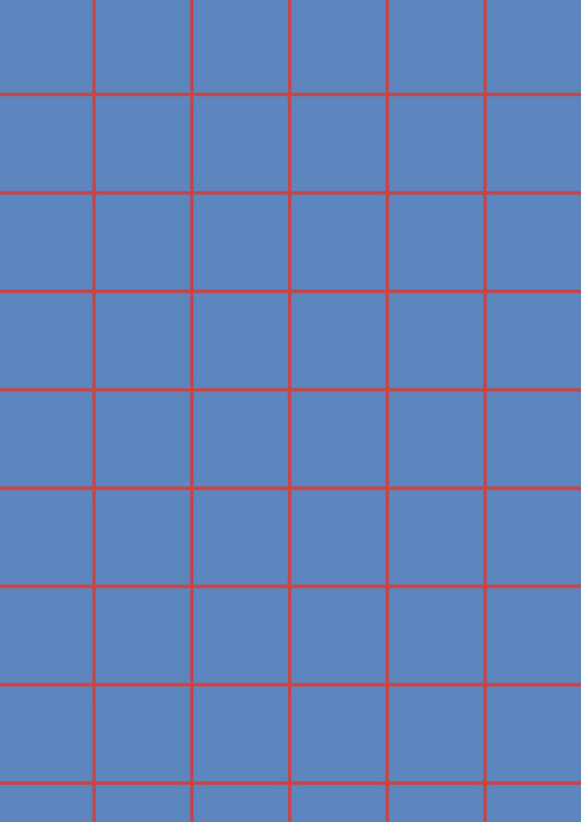 Blue A1 Photography Backdrop with Red Grid