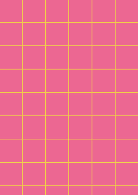 Pink A1 Photography Backdrop with Yellow Grid