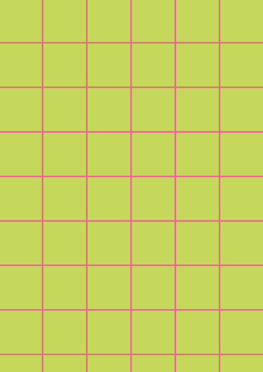 Lime A1 Photography Backdrop - Hot Pink Grid
