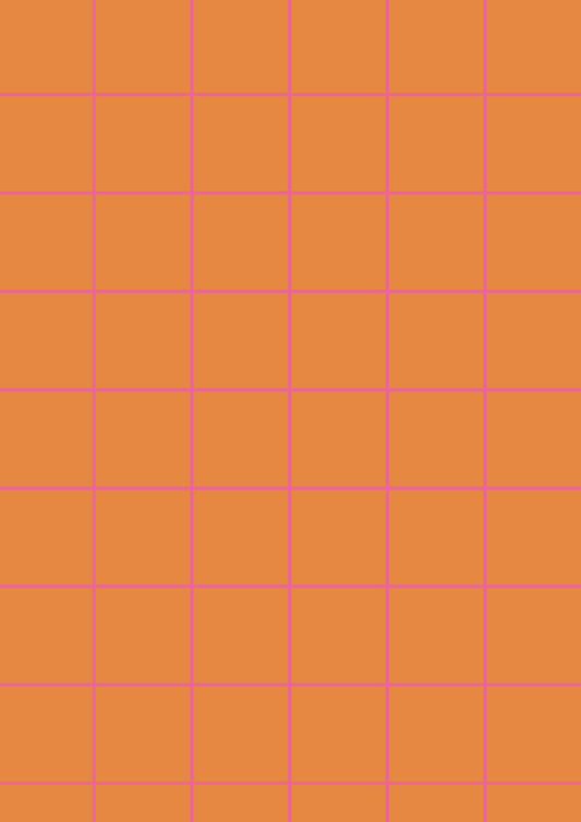 Orange A1 Photography Backdrop with Hot Pink Grid