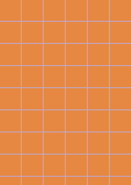 Orange A1 Photography Backdrop with Lilac Grid