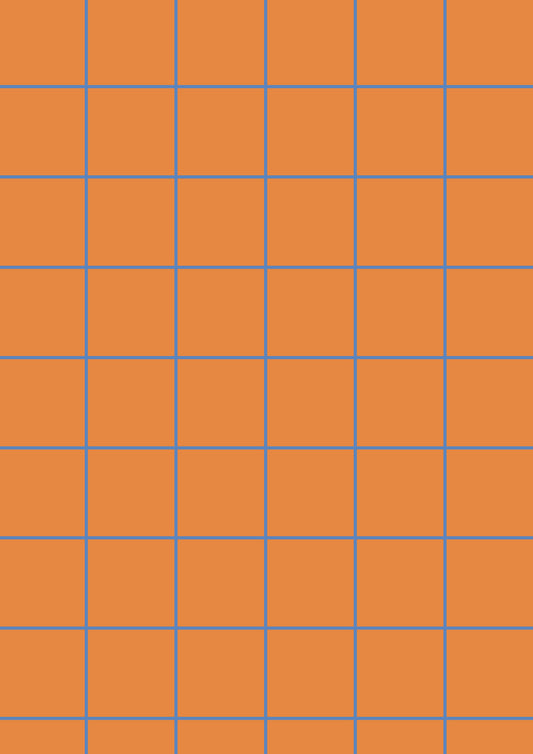Orange A1 Photography Backdrop - Blue Grid