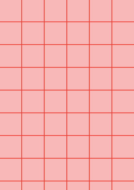 Pastel Pink A1 Photography Backdrop with Red Grid