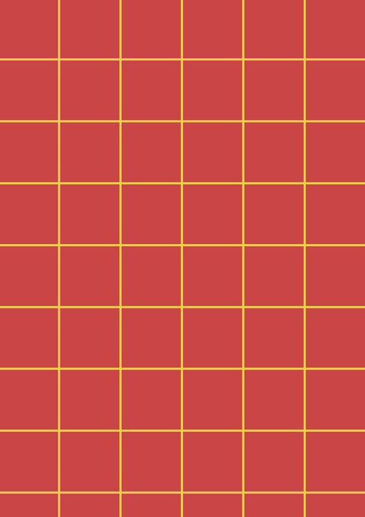 Red A1 Photography Backdrop with Yellow Grid