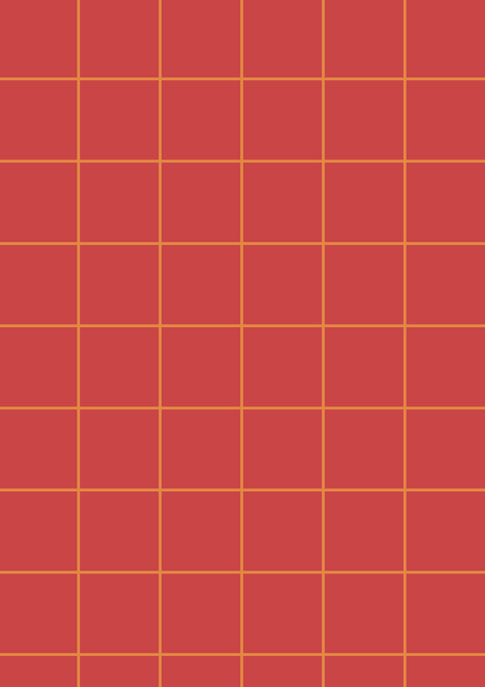 Red A1 Photography Backdrop with Orange Grid