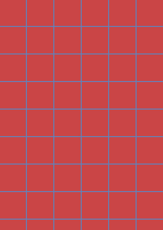 Red A1 Photography Backdrop with Blue Grid