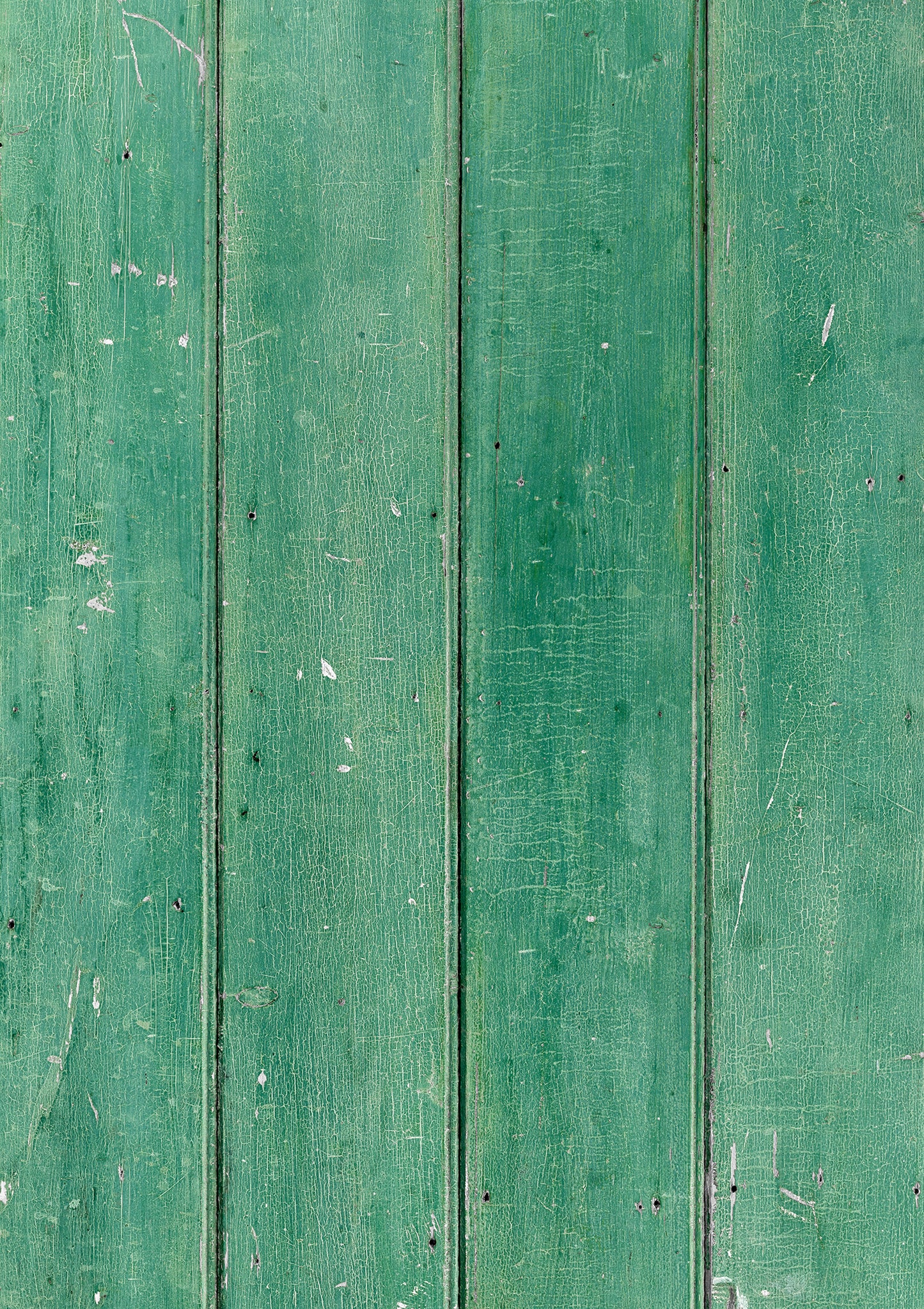 Green A1 Photography Backdrop - Rustic Timber