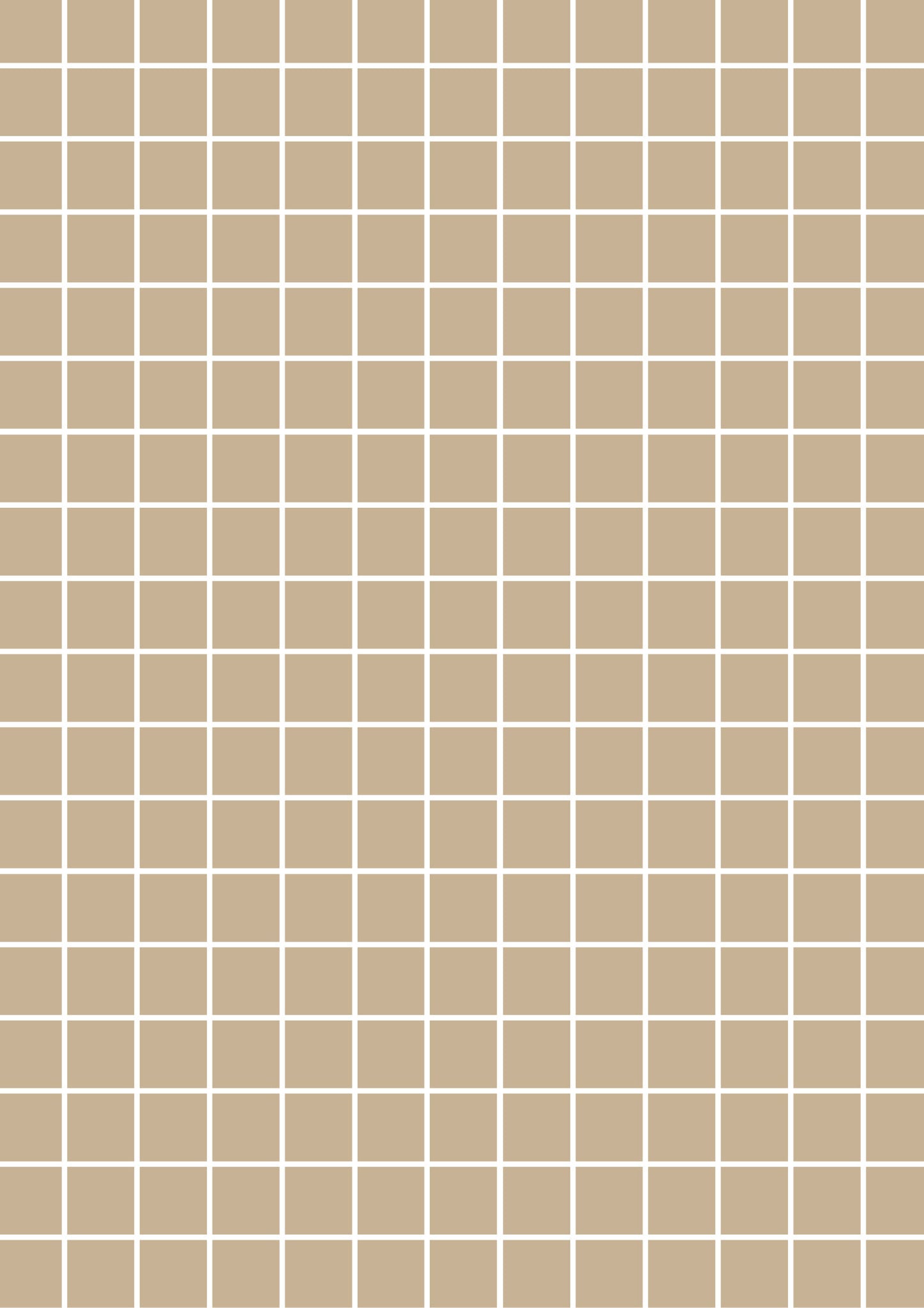 Beige A1 Photography Backdrop - Small White Grid