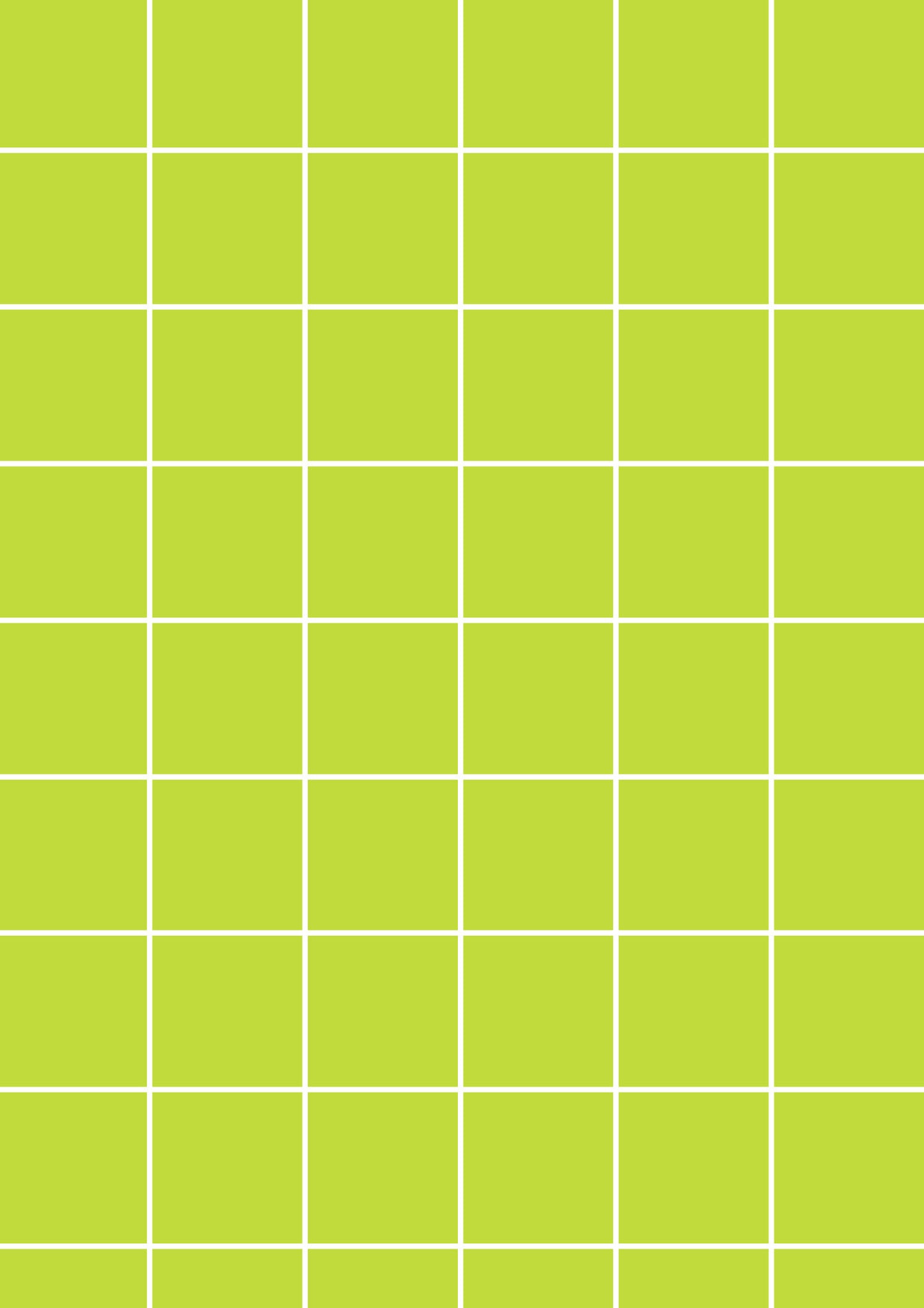 Lime A1 Photography Backdrop - White Grid
