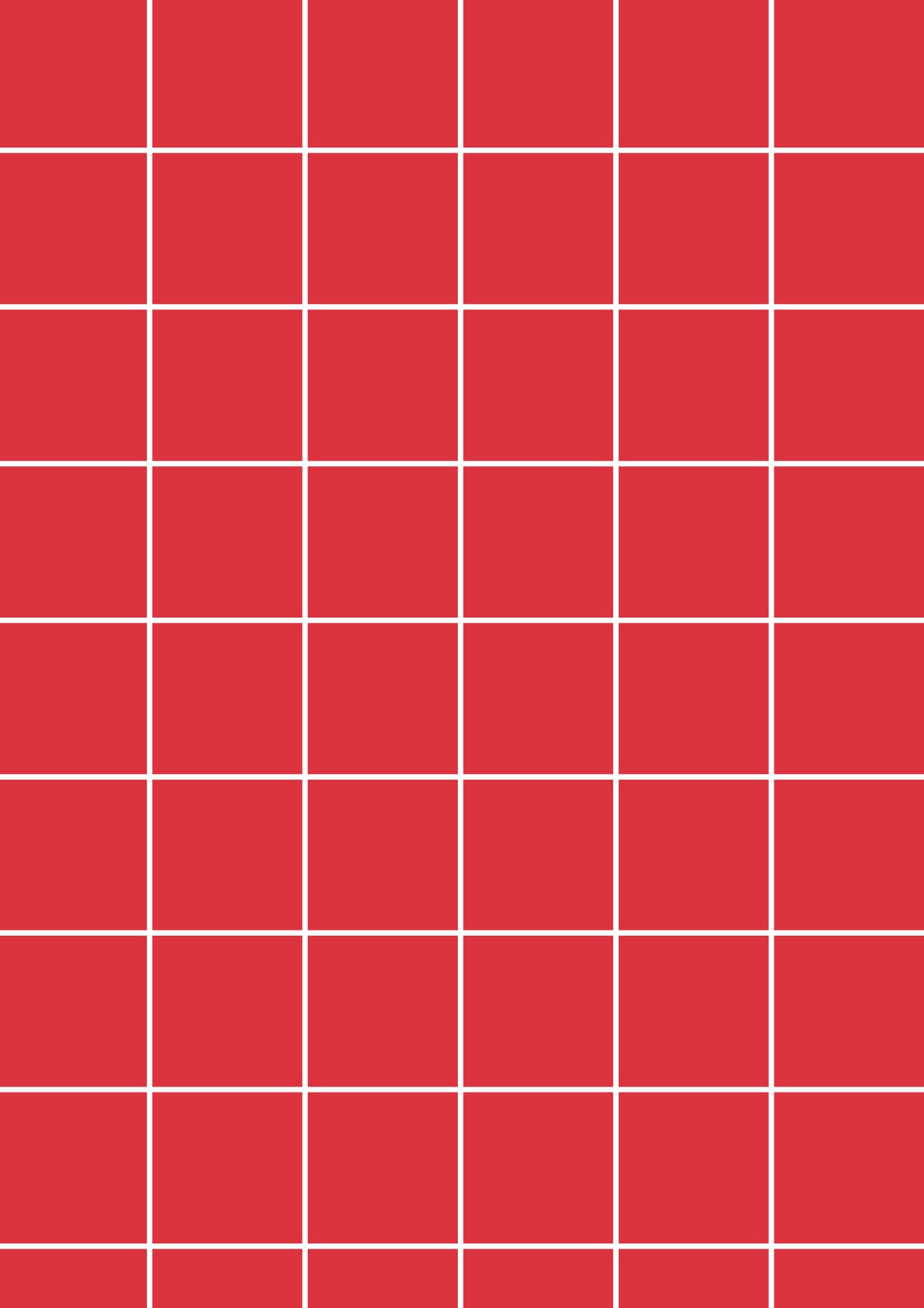 Red A1 Photography Backdrop - White Grid
