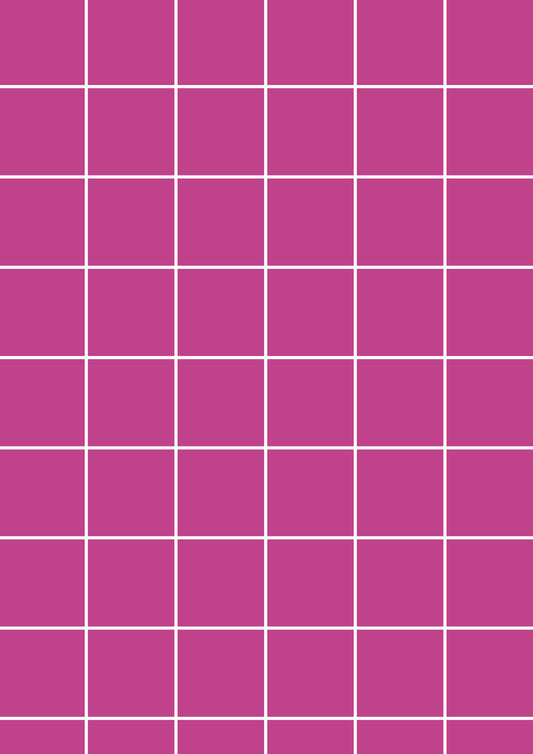 Magenta A1 Photography Backdrop - White Grid