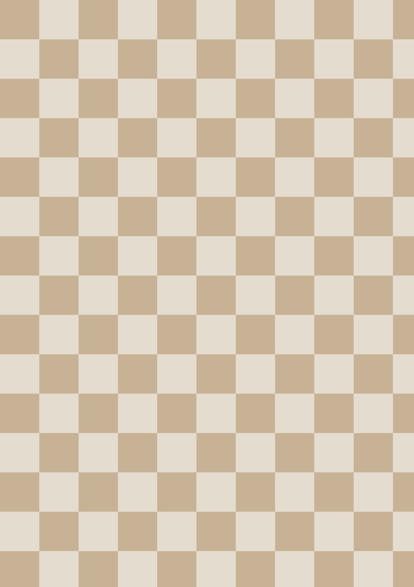 Beige A1 Photography Backdrop - Checkerboard