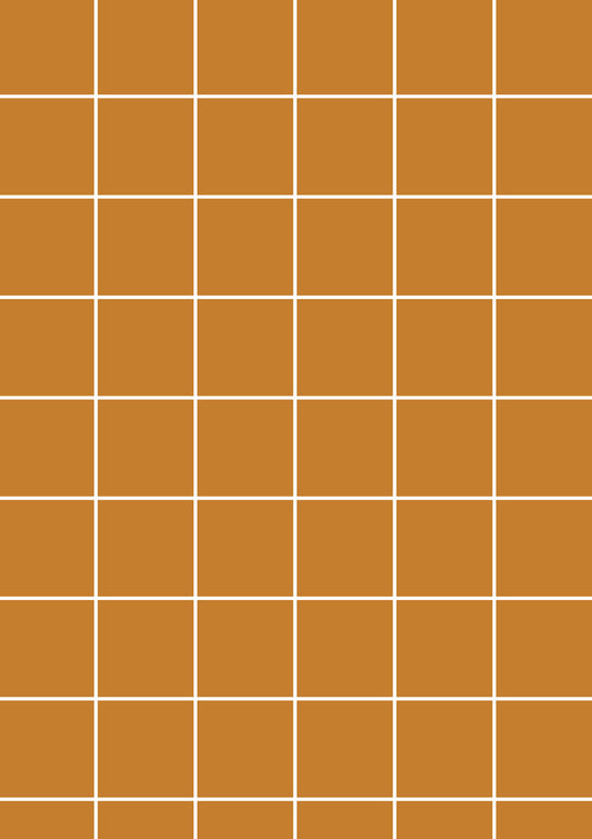 Terracotta A1 Photography Backdrop - White Grid