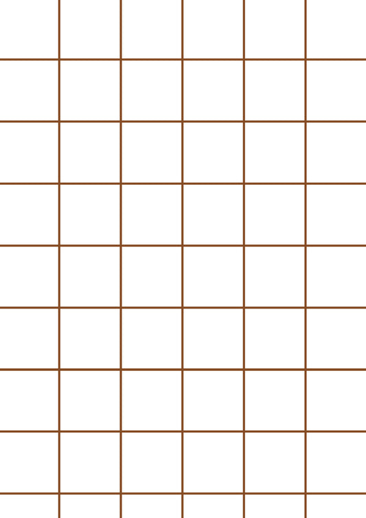 White A1 Photography Backdrop - Brown Grid