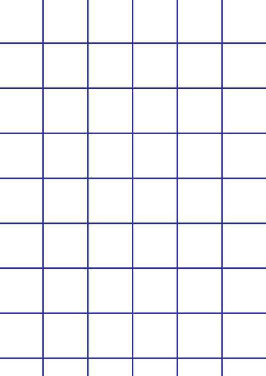 White A1 Photography Backdrop - Blue Grid