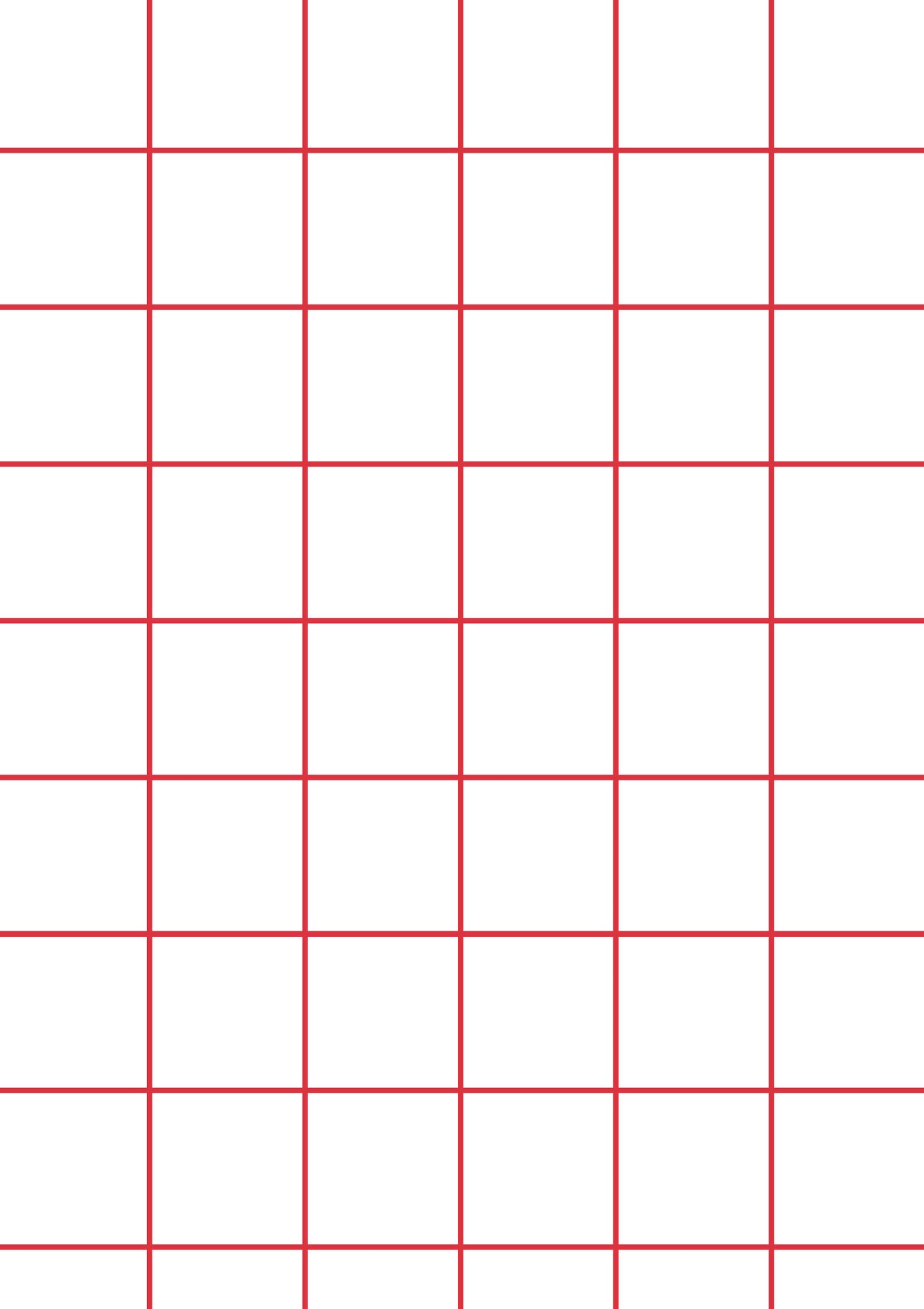 White A1 Photography Backdrop with Red Grid